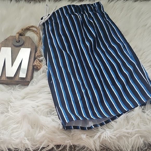 Arizona Striped Swim Shorts with 6.5" Inseam NWT - Picture 1 of 9